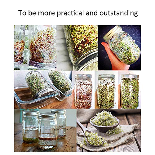 Bcamelys Sprouting Jar Kit Complete with Mason Jar, Stand, Screen ...