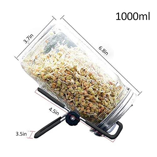 Bcamelys Sprouting Jar Kit Complete with Mason Jar, Stand, Screen ...