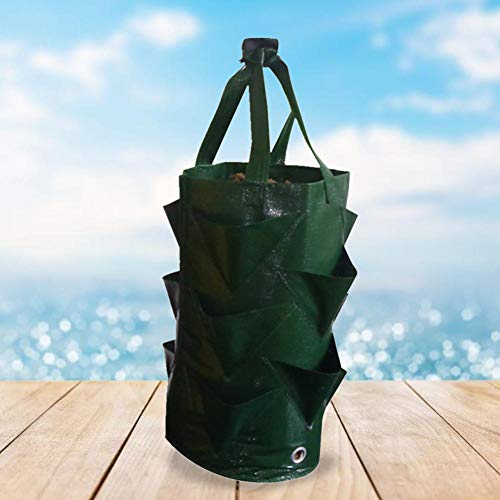 BDSONG 2 Pack Strawberry Planting Bag Gardens Hanging Planter Grow...