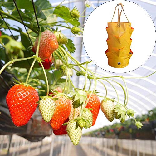 BDSONG 2 Pack Strawberry Planting Bag Gardens Hanging Planter Grow...