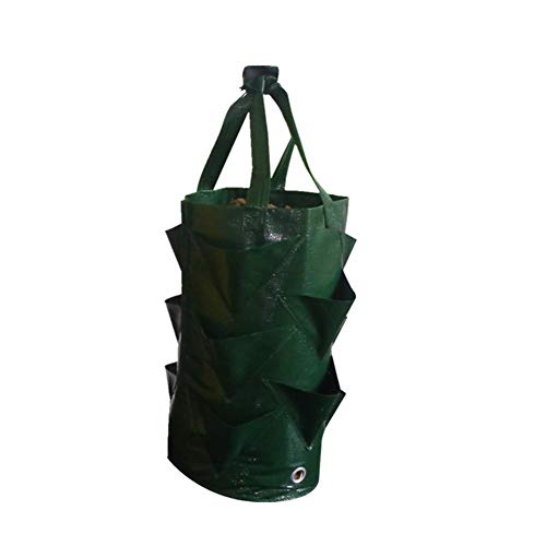 BDSONG 2 Pack Strawberry Planting Bag Gardens Hanging Planter Grow...