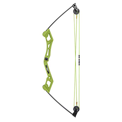 Bear Archery Apprentice Bow Set