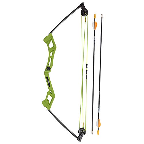 Bear Archery Apprentice Bow Set