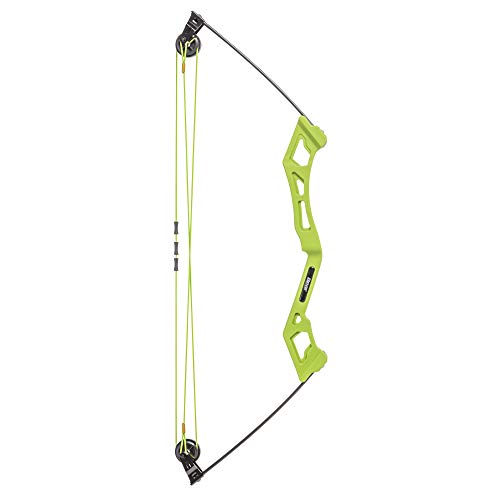 Bear Archery Apprentice Bow Set