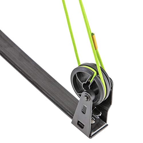 Bear Archery Apprentice Bow Set
