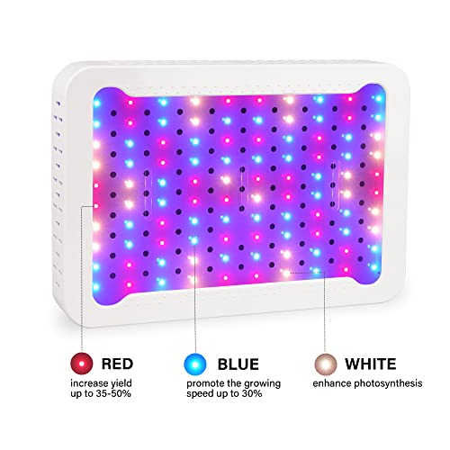 Beelux 1000W LED Grow Light for Indoor Plants Full Spectrum Upgrad...