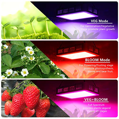 Beelux 1000W LED Grow Light for Indoor Plants Full Spectrum Upgrad...