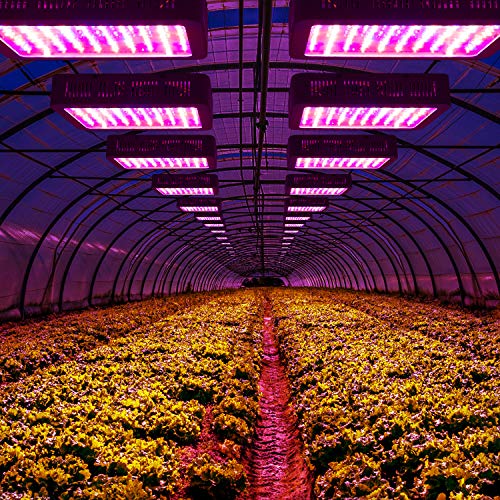Beelux 1000W LED Grow Light for Indoor Plants Full Spectrum Upgrad...