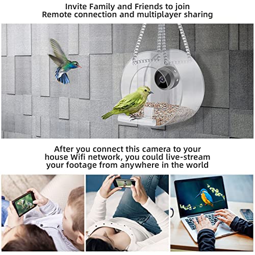 Smart Bird Feeder with HD 1080P Night-Version Video Camera for Wat...