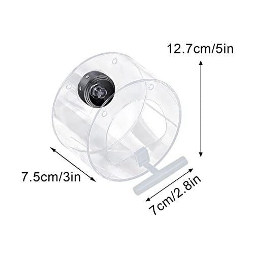Smart Bird Feeder with HD 1080P Night-Version Video Camera for Wat...