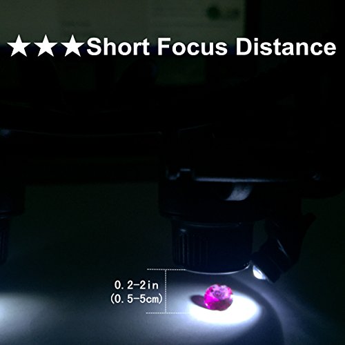 Beileshi Glasses Magnifier 10x 15x 20x 25x LED Illumination Double...