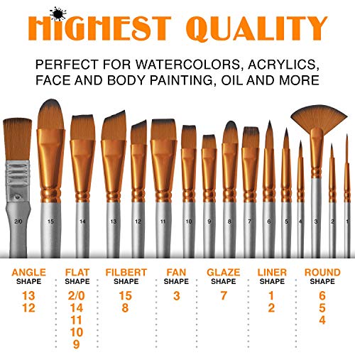 BENICCI Paint Brush Set of 16 - 15 Different Shapes + 1 Flat Brush...
