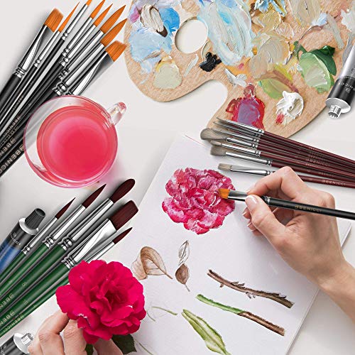 Easy Grip 40 Piece Artist Paint Brush Set with Storage Case - Incl...