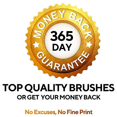 Easy Grip 40 Piece Artist Paint Brush Set with Storage Case - Incl...