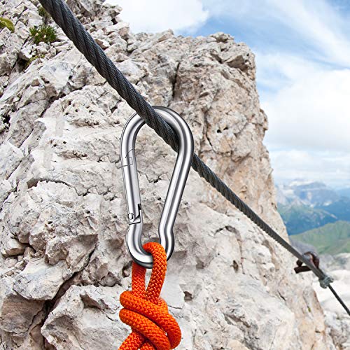 3 Inch Stainless Steel Spring Snap Hook Carabiner, 316 Stainless S...