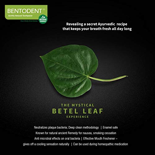 Bentodent Natural Toothpaste for Entire Family Incl Kids - Your Da...