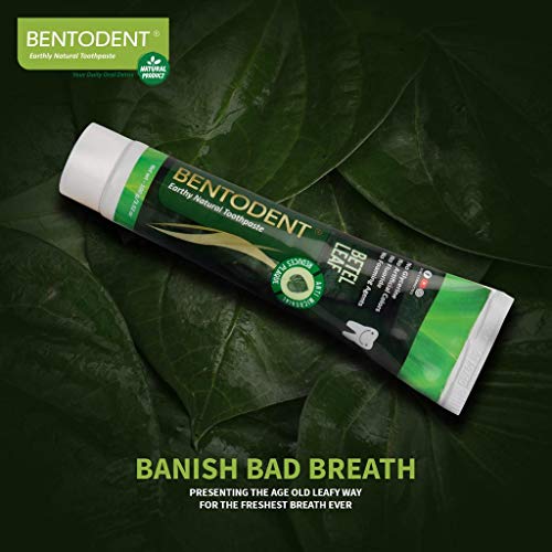 Bentodent Natural Toothpaste for Entire Family Incl Kids - Your Da...