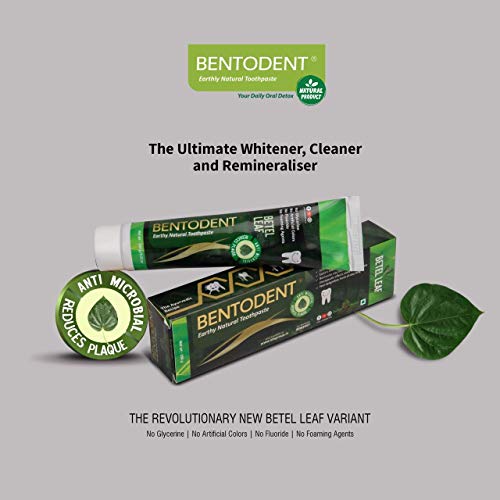 Bentodent Natural Toothpaste for Entire Family Incl Kids - Your Da...
