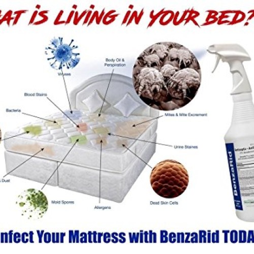 BenzaRid Professional Disinfectant 4 Gallon Set | Medical Grade ...