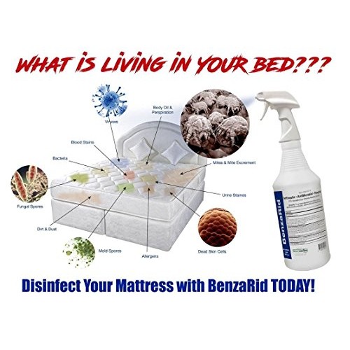 BenzaRid Professional Disinfectant 4 Gallon Set | Medical Grade ...