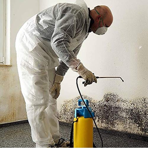 BenzaRid Professional Disinfectant 4 Gallon Set | Medical Grade ...