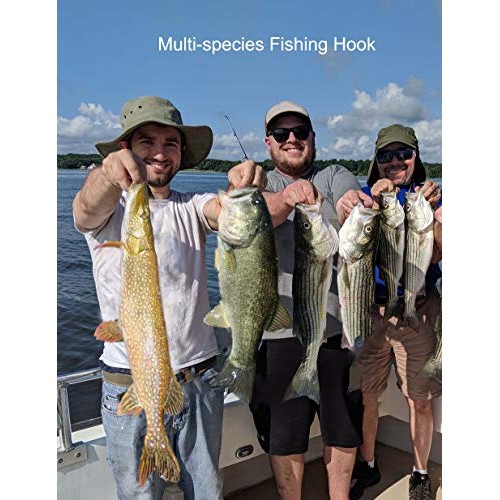 Beoccudo Fishing Hooks Freshwater Saltwater Fishing Gear Fishing T...
