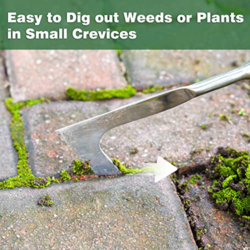 Berry&Bird Long Handle Crack Weeder, 63 Stainless Steel Garden Cr...