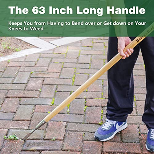 Berry&Bird Long Handle Crack Weeder, 63 Stainless Steel Garden Cr...