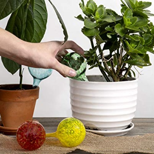 Besti Self Watering Globes for Plants 6-Pack Waters Greenery Up ...