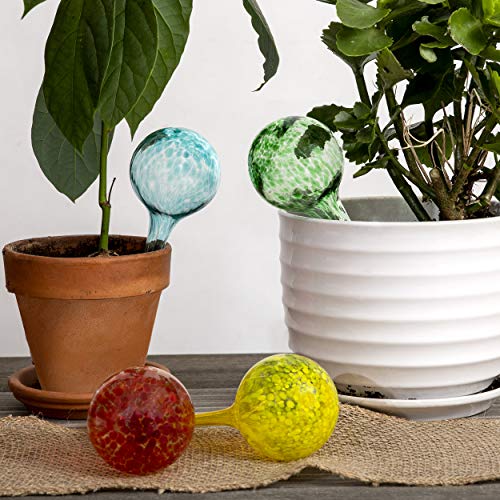 Besti Self Watering Globes for Plants 6-Pack Waters Greenery Up ...