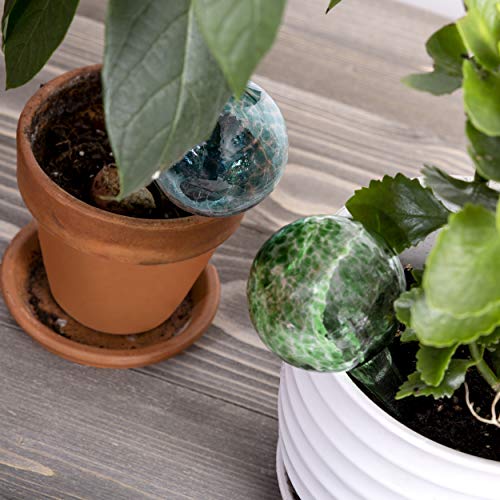 Besti Self Watering Globes for Plants 6-Pack Waters Greenery Up ...