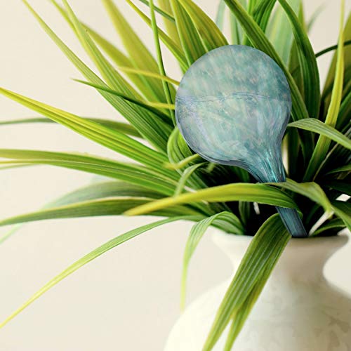 Besti Self Watering Globes for Plants 6-Pack Waters Greenery Up ...
