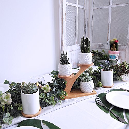 3pcs Owl Succulent Pots with 3 Tier Bamboo Saucers Stand Holder - ...