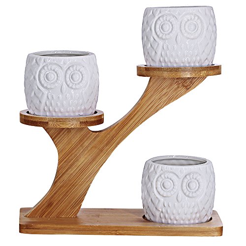 3pcs Owl Succulent Pots with 3 Tier Bamboo Saucers Stand Holder - ...