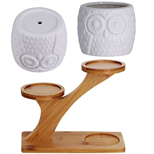 3pcs Owl Succulent Pots with 3 Tier Bamboo Saucers Stand Holder - ...