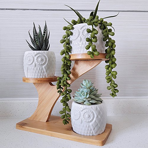 3pcs Owl Succulent Pots with 3 Tier Bamboo Saucers Stand Holder - ...