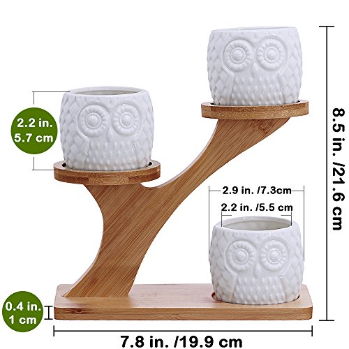 3pcs Owl Succulent Pots with 3 Tier Bamboo Saucers Stand Holder - ...
