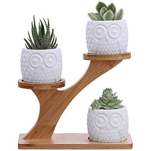 3pcs Owl Succulent Pots with 3 Tier Bamboo Saucers Stand Holder - ...