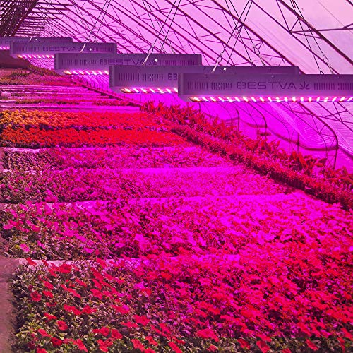 BESTVA DC Series 4000W LED Grow Light Full Spectrum Grow Lamp for ...