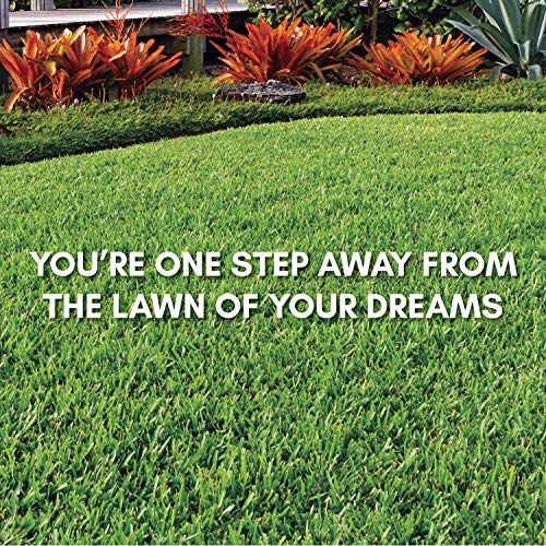 Bethel Farms St. Augustine 3in Natural Grass Plugs 36-Pack