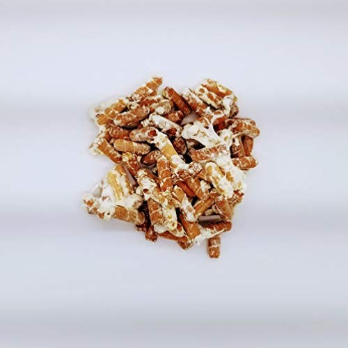100 Phoenix Oyster Mushroom Spawn Plugs/Dowels to Inoculate Logs o...