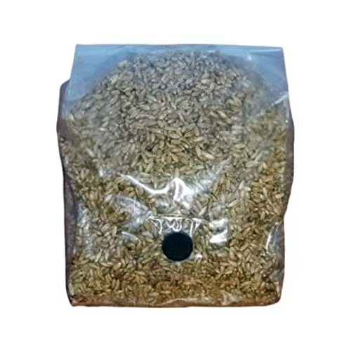 BetterFungi 3 Lb Sterilized Grain Bag with Injection Port Rye - ...