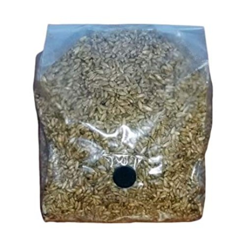BetterFungi 3 Lb Sterilized Grain Bag with Injection Port Rye - ...