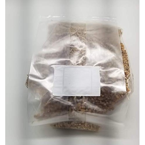 BetterFungi 3 Lb Sterilized Grain Bag with Injection Port Wheat ...