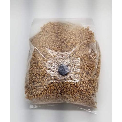 BetterFungi 3 Lb Sterilized Grain Bag with Injection Port Wheat ...