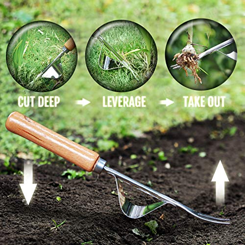 Betus Manual Hand Weeder - Bend-Proof Leverage Base for Super Easy...