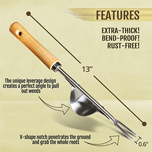 Betus Manual Hand Weeder - Bend-Proof Leverage Base for Super Easy...