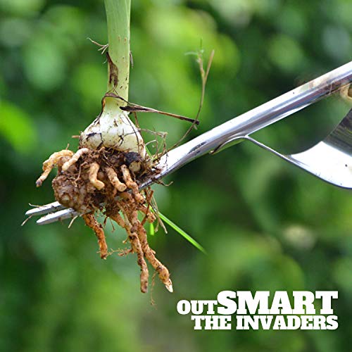 Betus Manual Hand Weeder - Bend-Proof Leverage Base for Super Easy...