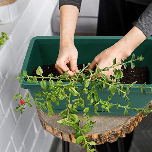 Beyoung 6 Packs Window Box Planter, 14 x 7.4 x 5.8 Inches Green Fl...