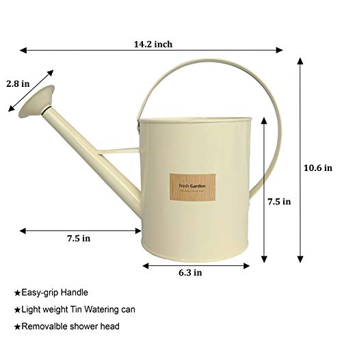 BFA Metal Watering Can with Removable Shower Head, 3.5L 0.92 gal...